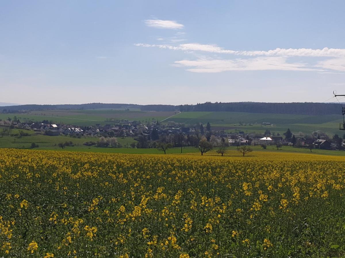 Pension Zum Adler Limbach  Esterno foto